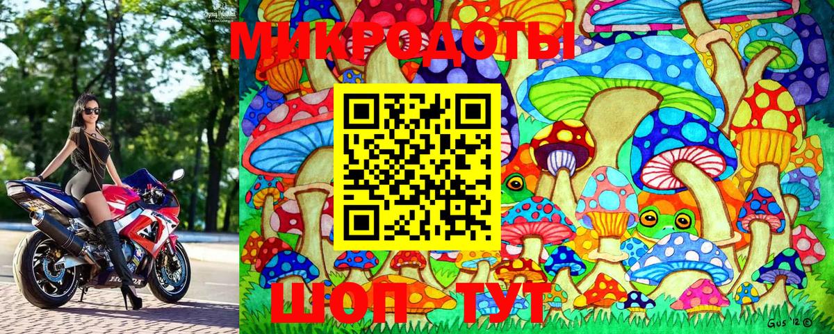 Луга  Псилоцибиновые грибы Psilocybine cubensis  Вход с VPN  Псилоцибиновые грибы GOLDEN TEACHER 